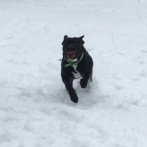 Meet your Posher, Kyle